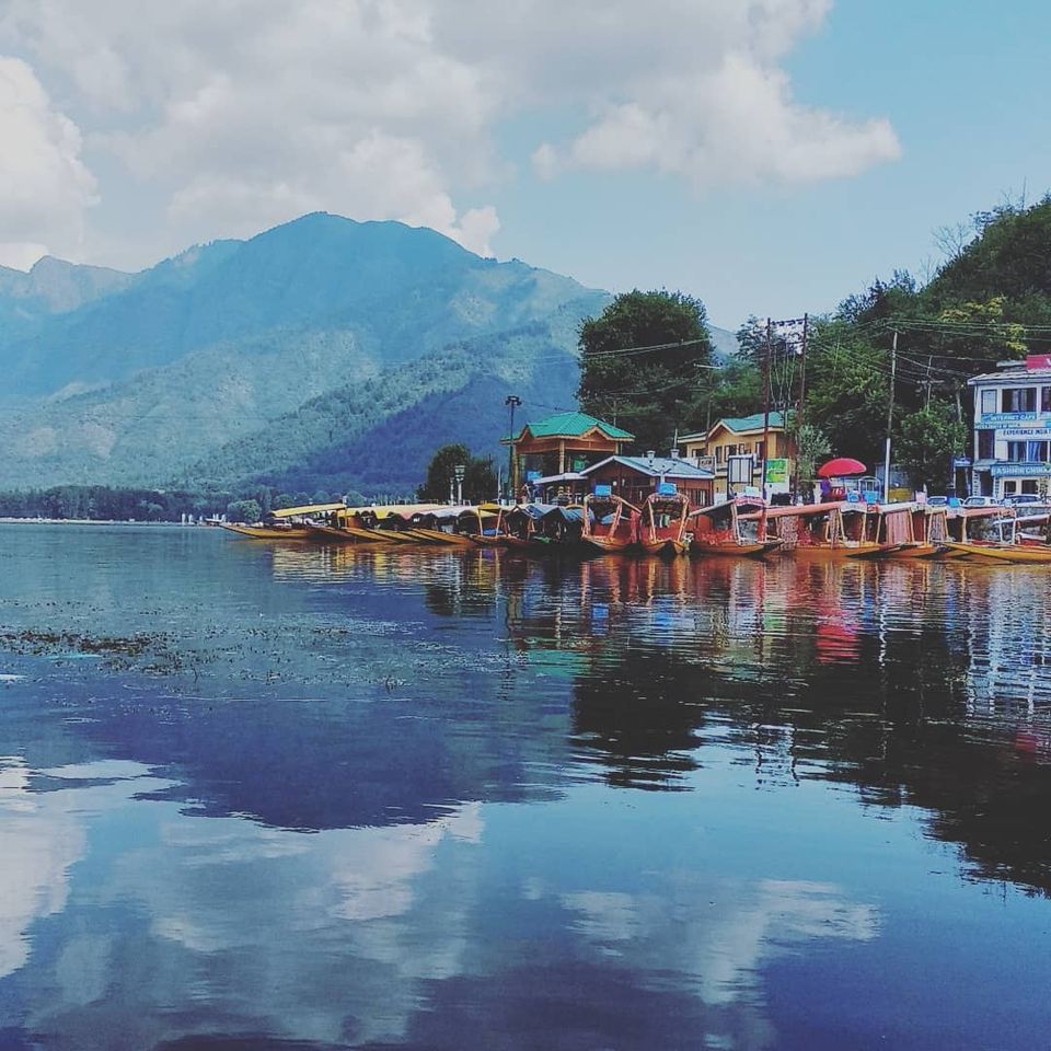 Photo of Dal Lake, Srinagar by sikkimtravelhub