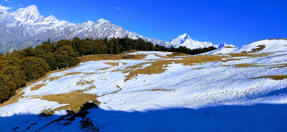 Photo of Auli Laga Joshimath, Uttarakhand, India by Manu Garg