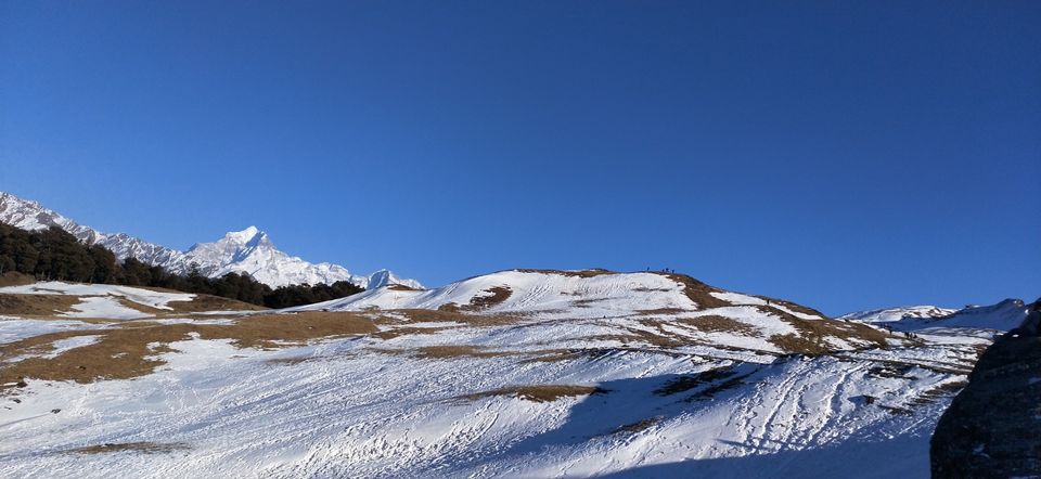 Photo of Auli Laga Joshimath, Uttarakhand, India by Manu Garg