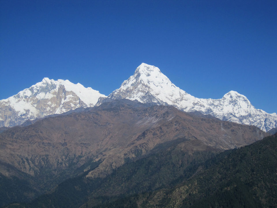 Photo of Ghorepani Poonhill Trek by Nepal Gateway Trekking