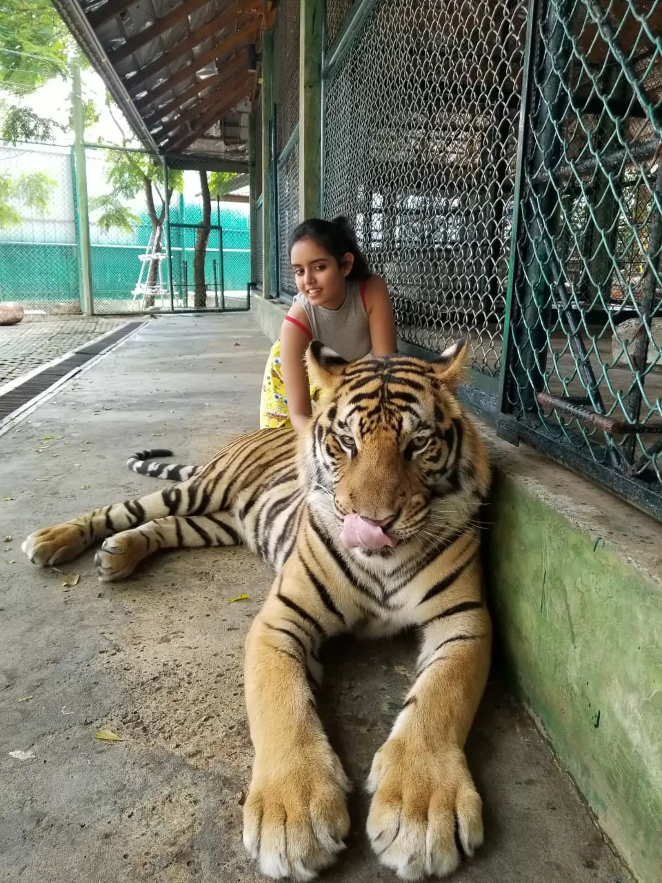 Photo of Trip to Thailand by Aayushi Jain