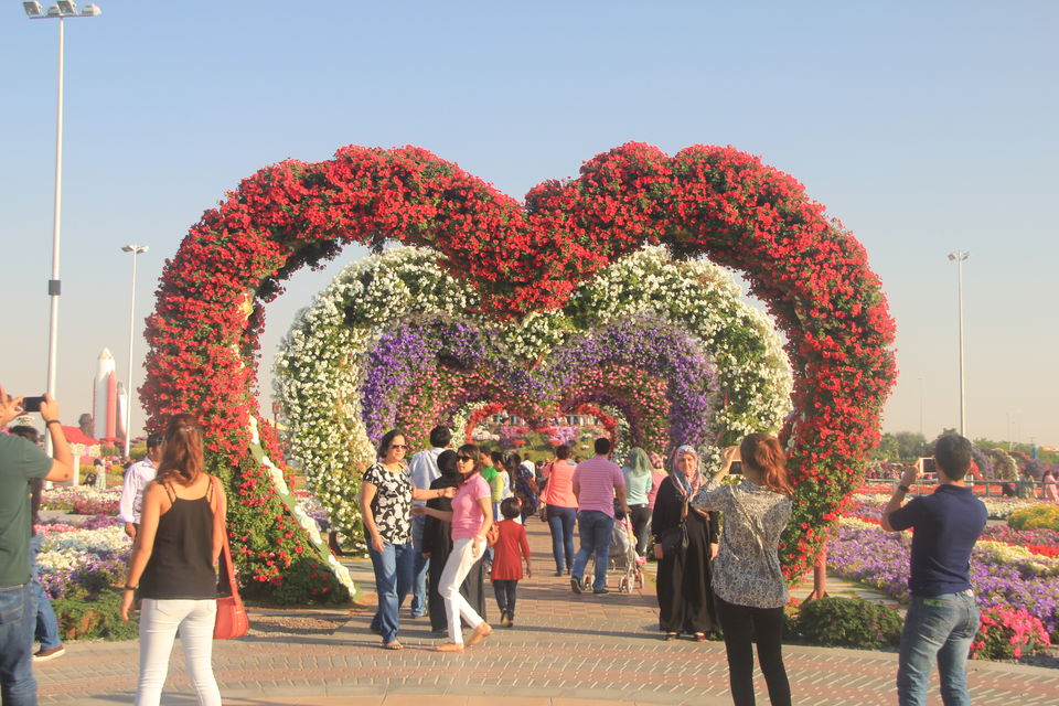 Photo of Dubai Miracle Garden, Al Barsha South 3, Barsha, Dubailand Area - إمارة دبيّ - United Arab Emirates by Akanksha Maurya