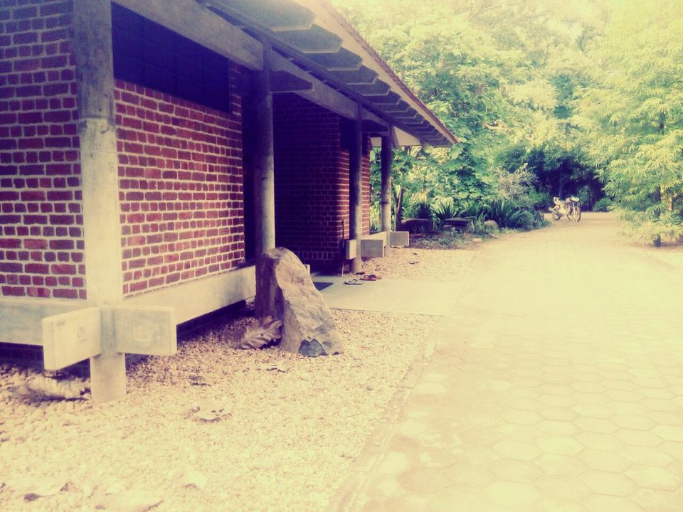 Photo of Auroville – A way of life… 2/12 by Sumiya Ebrahim