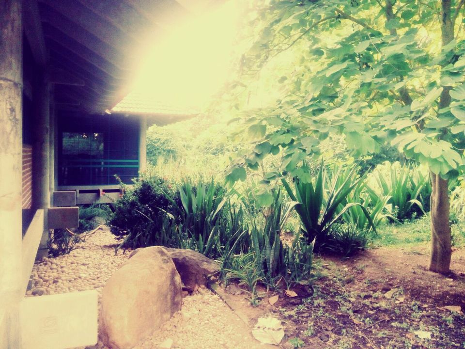 Photo of Auroville – A way of life… 3/12 by Sumiya Ebrahim