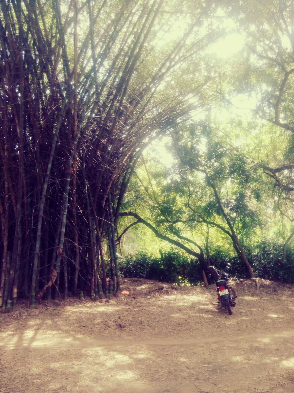 Photo of Auroville – A way of life… 4/12 by Sumiya Ebrahim