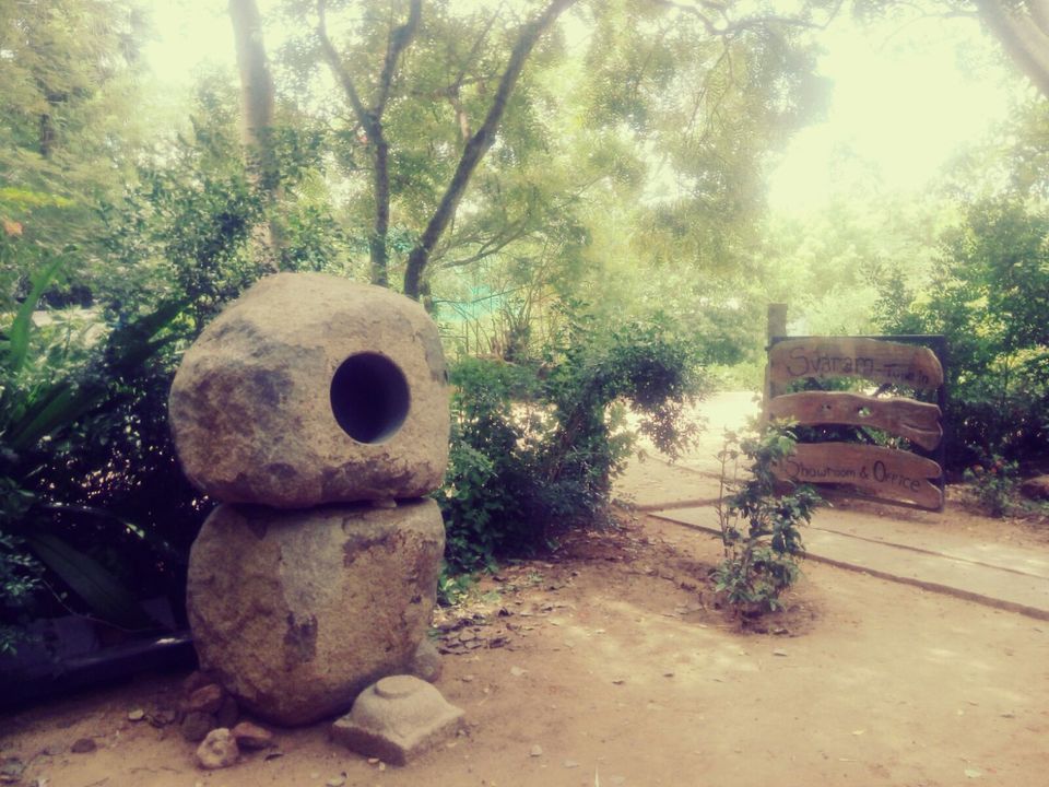 Photo of Auroville – A way of life… 7/12 by Sumiya Ebrahim