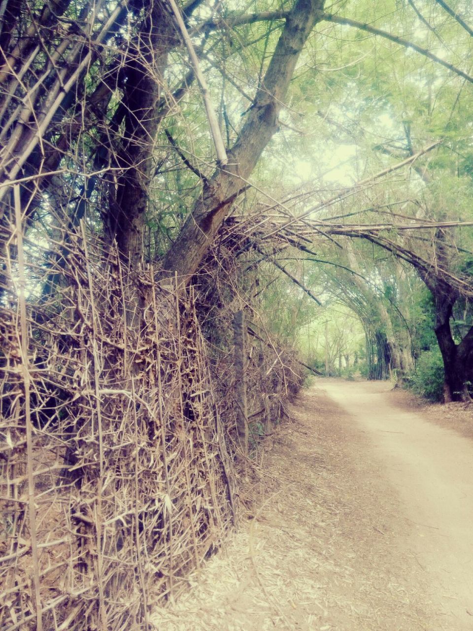 Photo of Auroville – A way of life… 9/12 by Sumiya Ebrahim