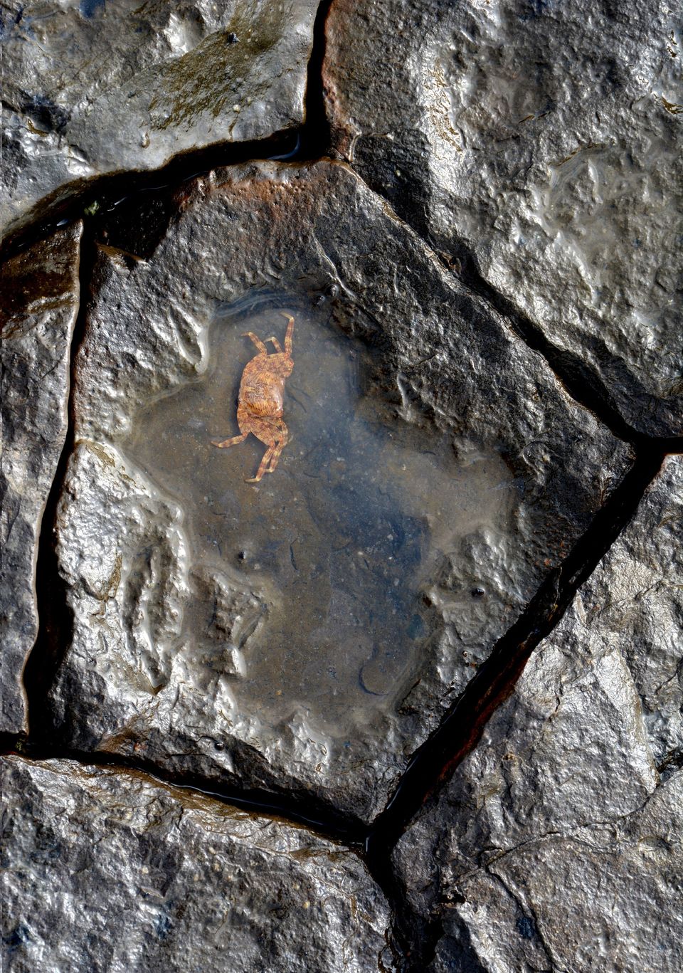 Photo of St.Mary's Islands -A wonder by those Unseen Hands 7/11 by Sumiya Ebrahim