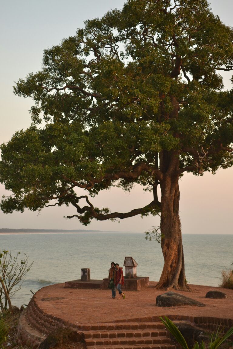 Photo of Bekal Fort - Where the History Sleeps 6/8 by Sumiya Ebrahim