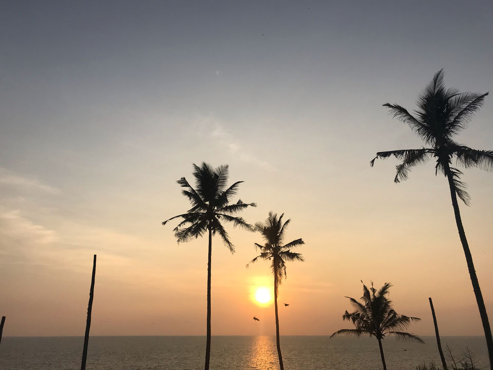 Photo of Varkala, Kerala, India by Pallav Yadav