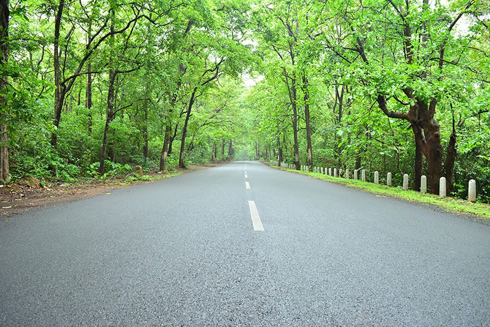 Photo of The lesser known Goa #offbeatgoa by Neha Ballal