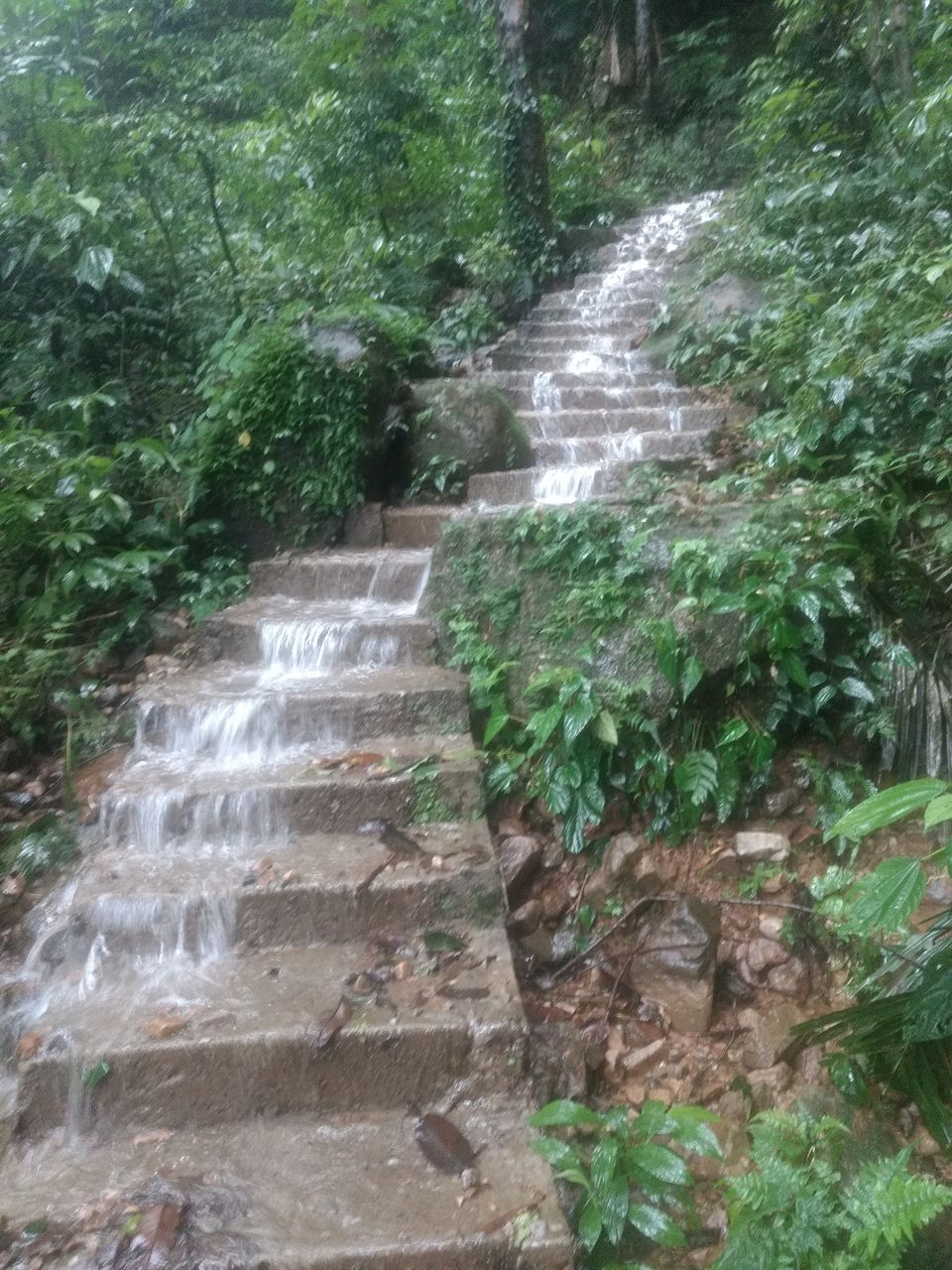Photo of Meghalya- The journey through the wettest place on earth. by Neha Ballal