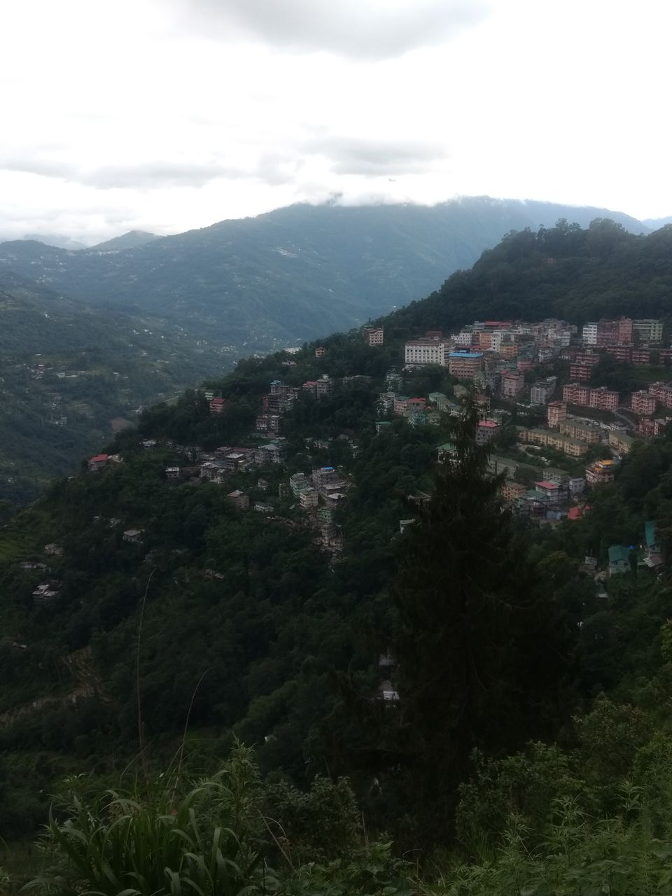 Photo of Gangtok- A guide to the local places and dishes by Neha Ballal