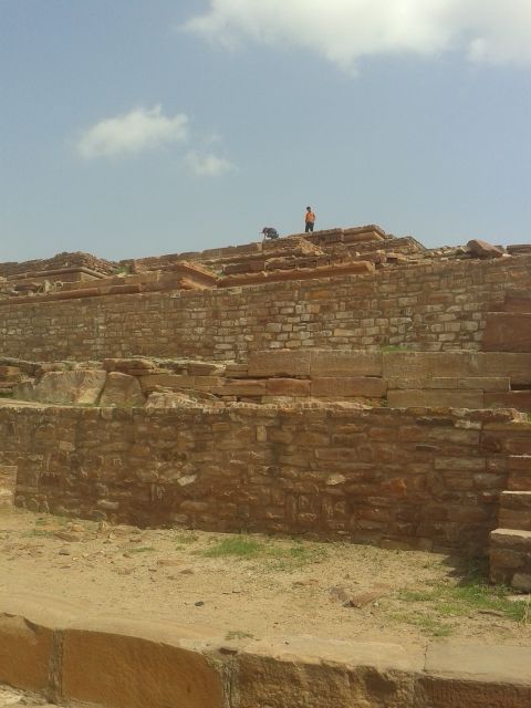Photo of The blue city- Jodhpur by neha ballal