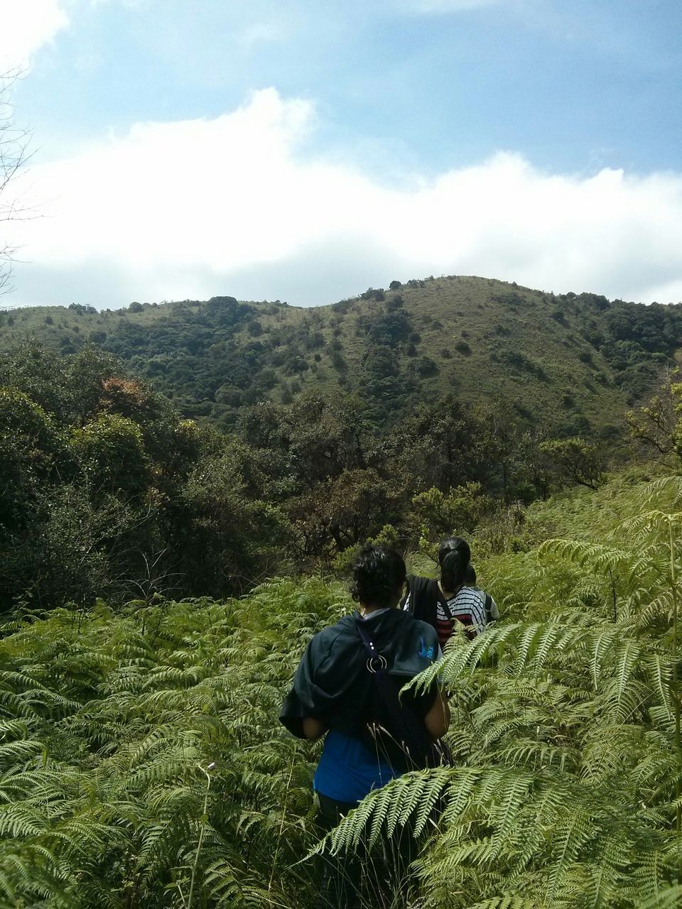 Photo of Coorg - The hidden Nishani Motte trek by neha ballal