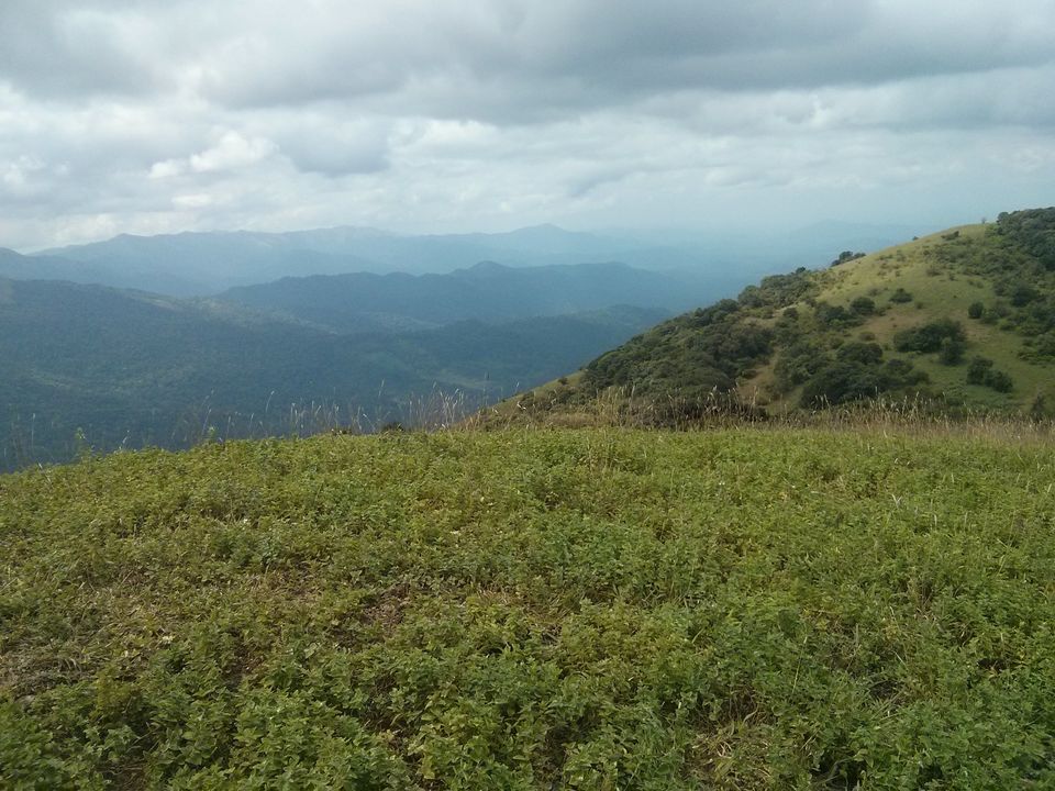 Photo of Coorg - The hidden Nishani Motte trek by neha ballal