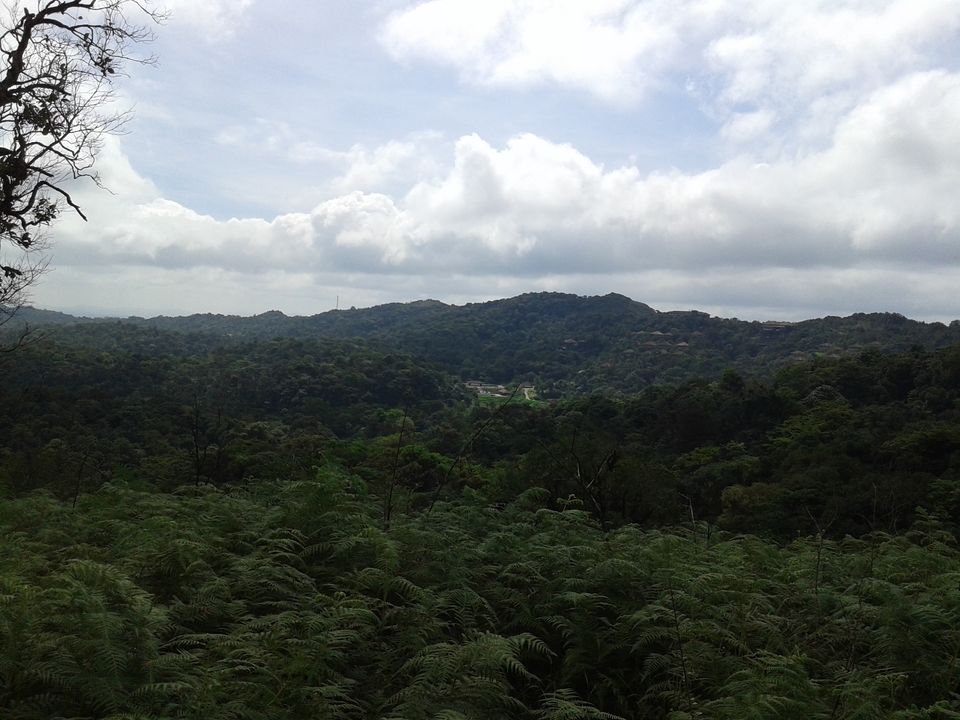 Photo of Coorg - The hidden Nishani Motte trek by neha ballal