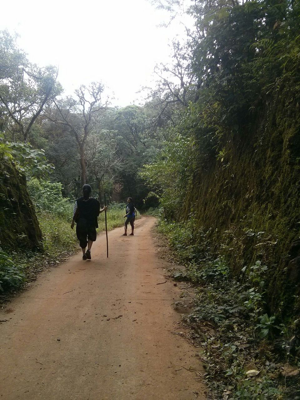 Photo of Coorg - The hidden Nishani Motte trek by neha ballal