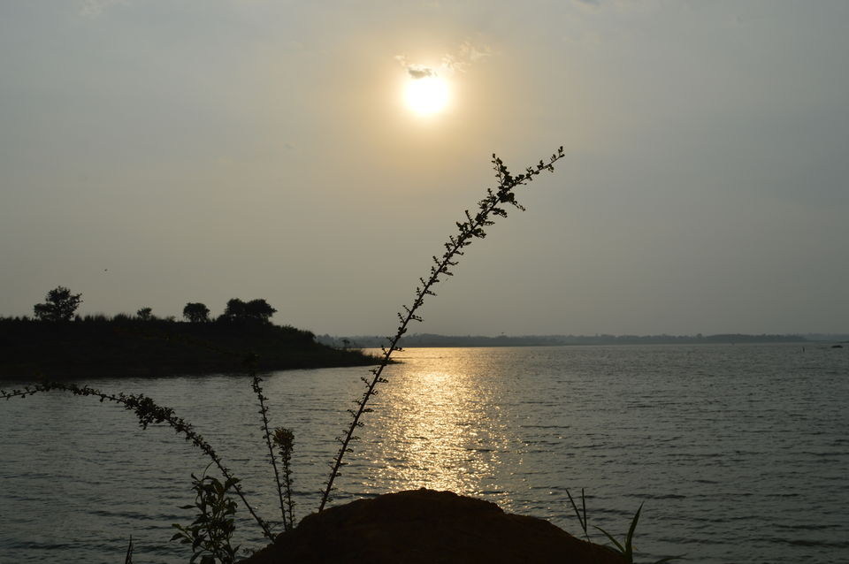 Photo of Experiencing the village life at Kalsapura by neha ballal