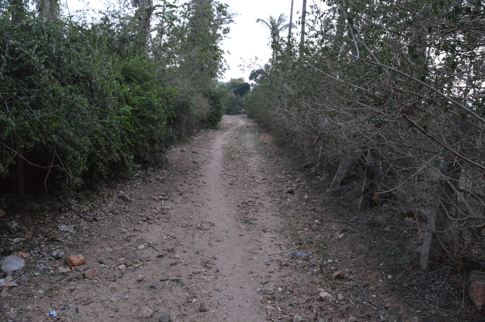 Photo of Experiencing the village life at Kalsapura by neha ballal