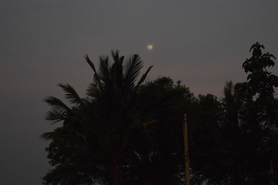 Photo of Experiencing the village life at Kalsapura by neha ballal