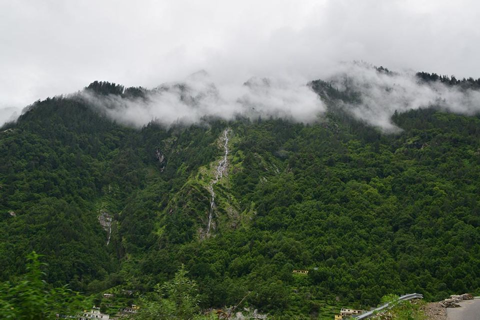 Photo of How I won a free trek to Valley of Flowers from Tripoto. by Neha Ballal