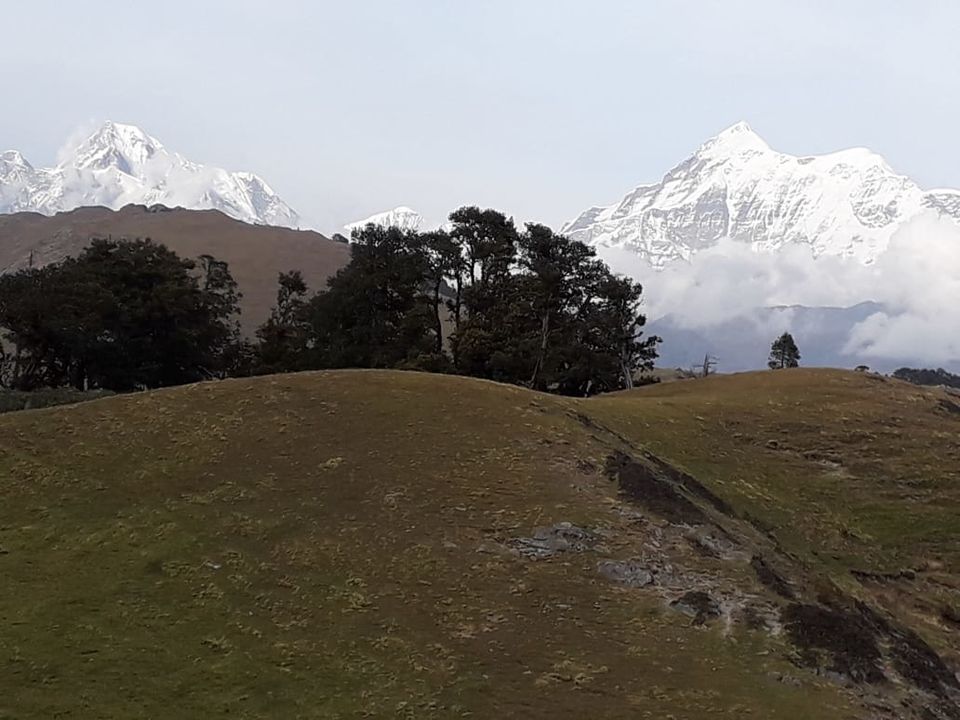 Photo of Brahmatal Trek by neha ballal