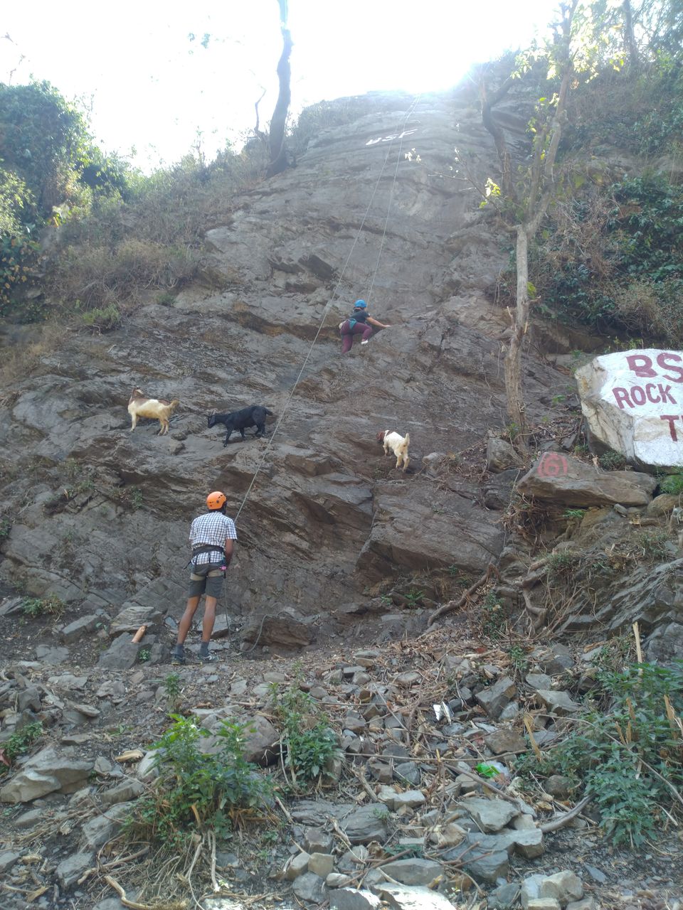 Photo of Things to do in Dehradun- Rock climbing by Neha Ballal