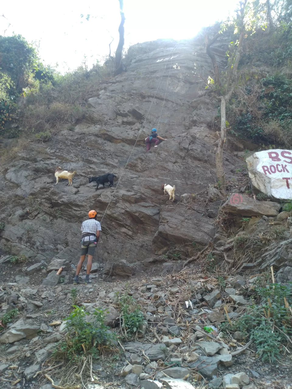 Photo of Things to do in Dehradun- Rock climbing by Neha Ballal