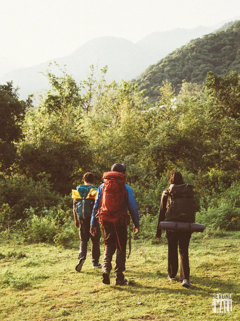 Photo of Trekking in Dehradun- One day Nature Hike by Neha Ballal