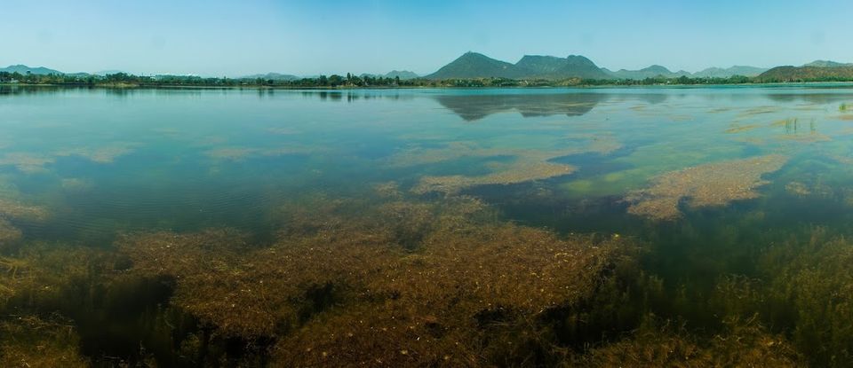 Photo of Royal Rajasthan – Udaipur 12/17 by Anubhav Tyagi