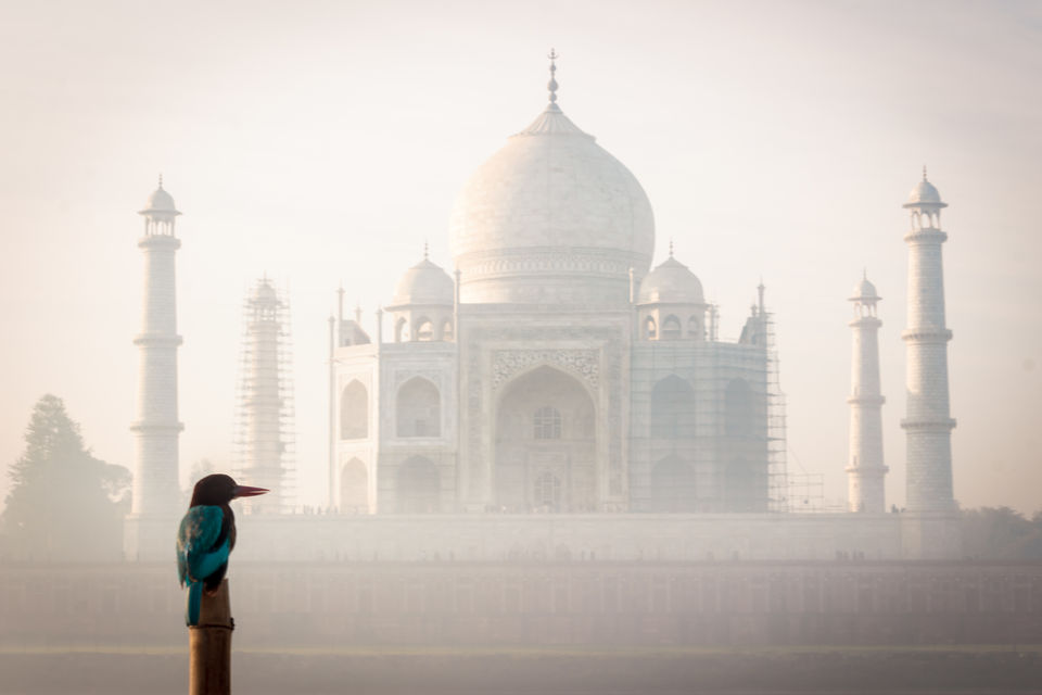 Photo of Mehtab bagh, Dharmapuri, Forest Colony, Tajganj, Agra, Uttar Pradesh, India by Kartik Kumar S
