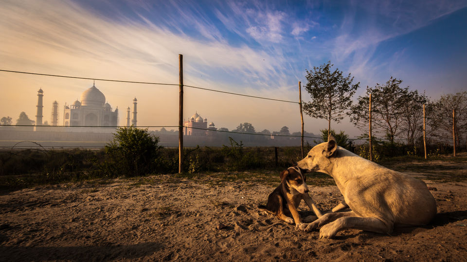 Photo of Mehtab bagh, Dharmapuri, Forest Colony, Tajganj, Agra, Uttar Pradesh, India by Kartik Kumar S