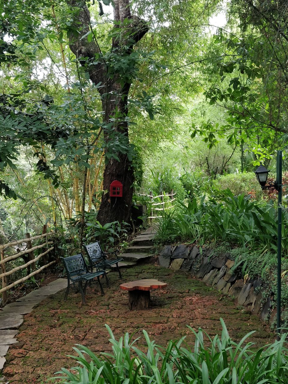 Photo of Experience opulence and serenity at Coorg’s ‘rabbit hole for the soul’ by Prakriti Arora