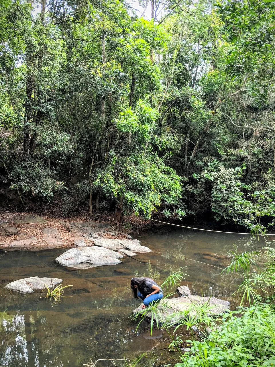 Photo of Experience opulence and serenity at Coorg’s ‘rabbit hole for the soul’ by Prakriti Arora