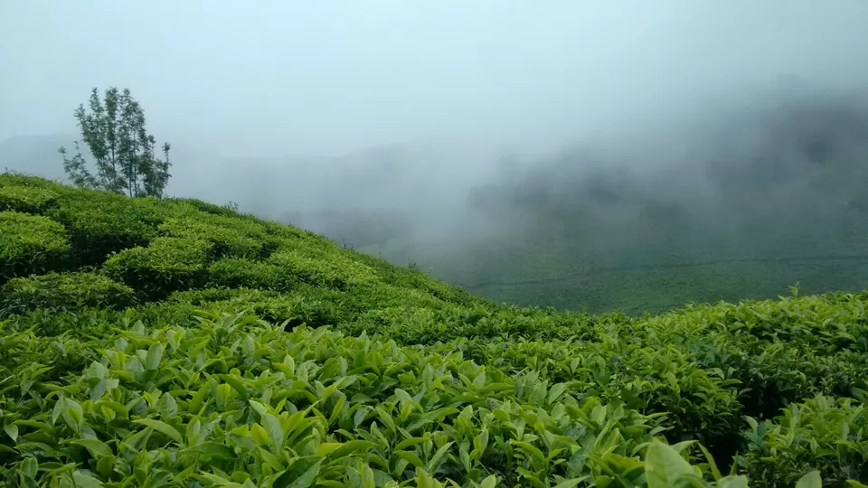 Photo of Kerala, India by Sai Krrishna