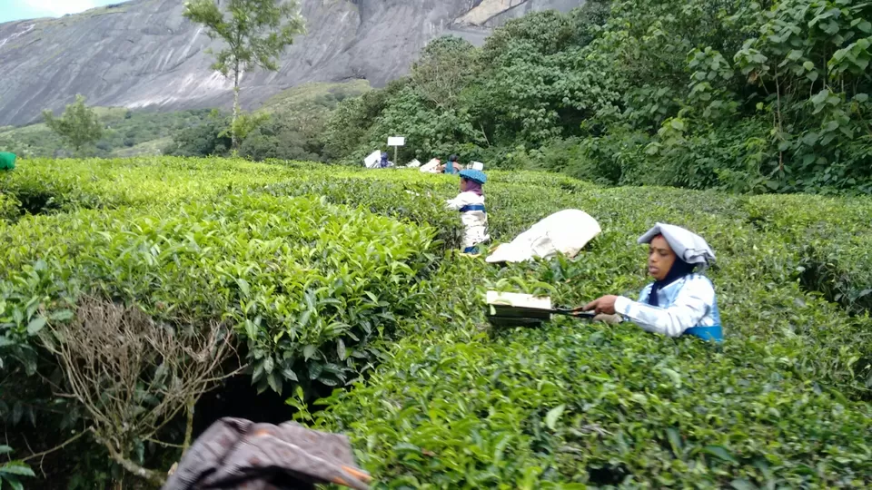 Photo of Kerala, India by Sai Krrishna