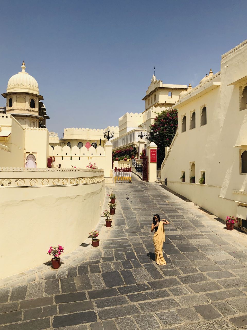 Photo of Reminiscent of the Royals – Shiv Niwas Palace, Udaipur by Ranak Trivedi