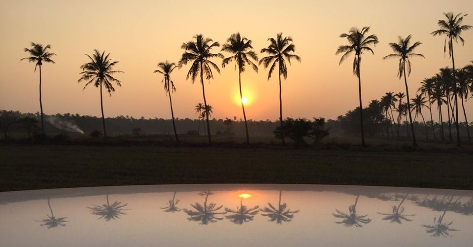 Photo of "I drink & I know things" Got some good news for Goa/Alcohol lovers ❤ by Ranak Trivedi