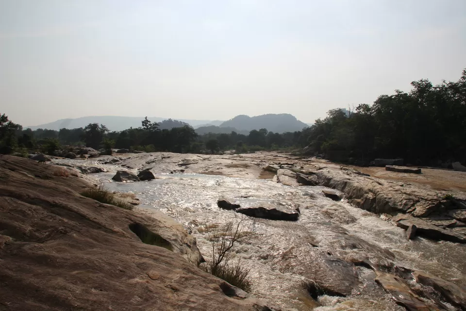 Photo of BETLA national PARK by Suchandan Ghosh