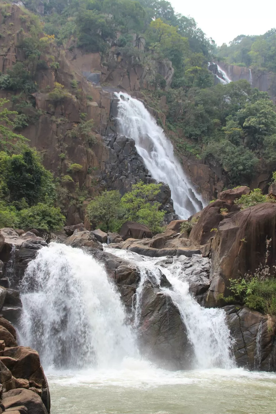 Photo of BETLA national PARK by Suchandan Ghosh