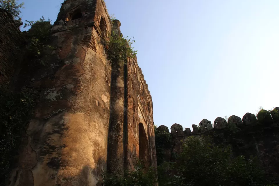Photo of BETLA national PARK by Suchandan Ghosh