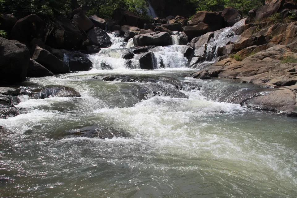 Photo of BETLA national PARK by Suchandan Ghosh
