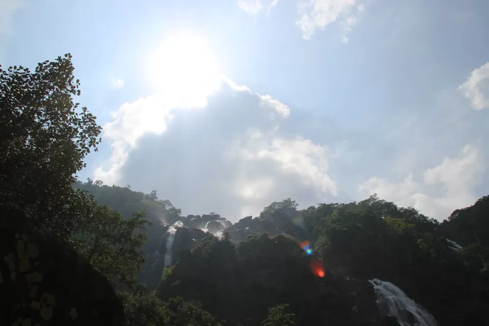 Photo of BETLA national PARK by Suchandan Ghosh