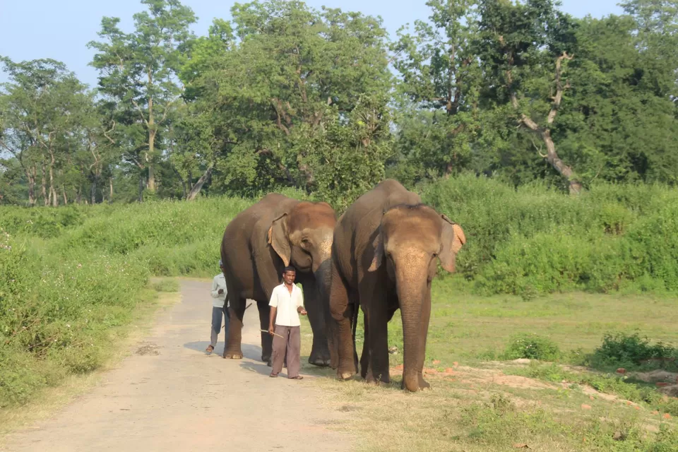 Photo of BETLA national PARK by Suchandan Ghosh