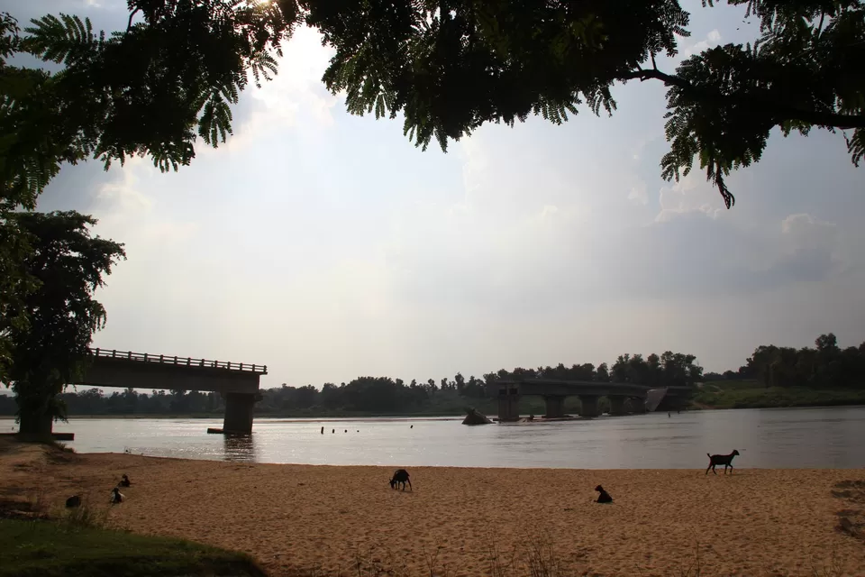 Photo of BETLA national PARK by Suchandan Ghosh
