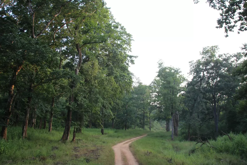 Photo of BETLA national PARK by Suchandan Ghosh