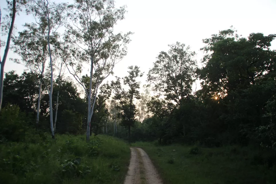 Photo of BETLA national PARK by Suchandan Ghosh