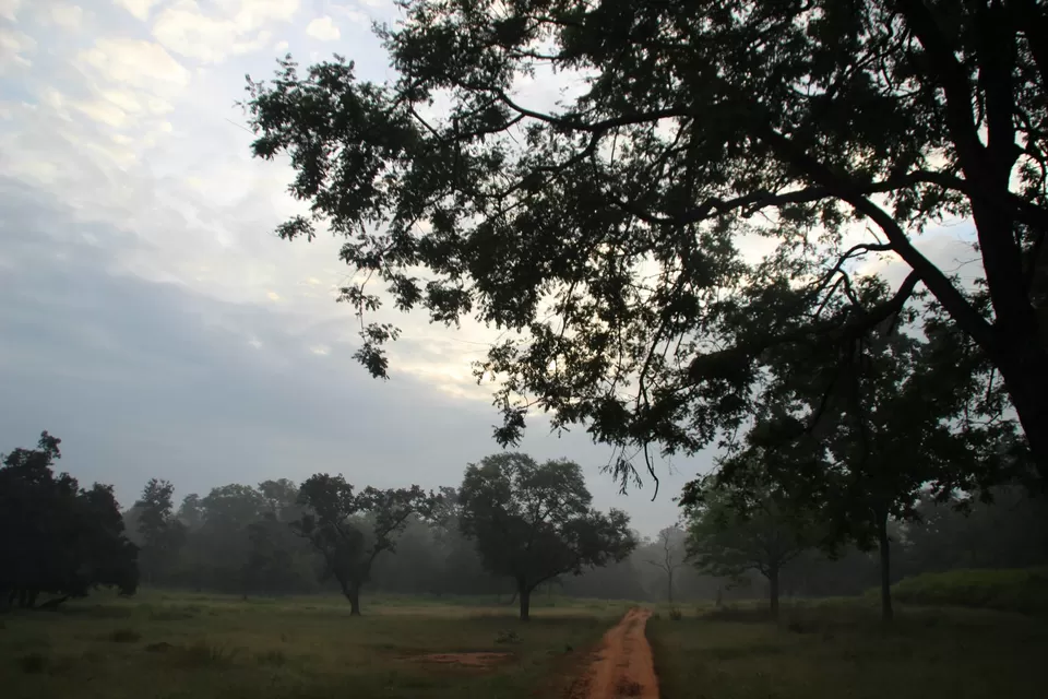 Photo of BETLA national PARK by Suchandan Ghosh