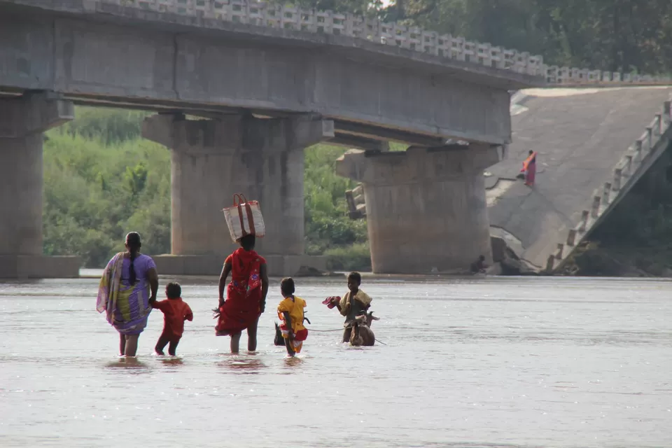 Photo of BETLA national PARK by Suchandan Ghosh